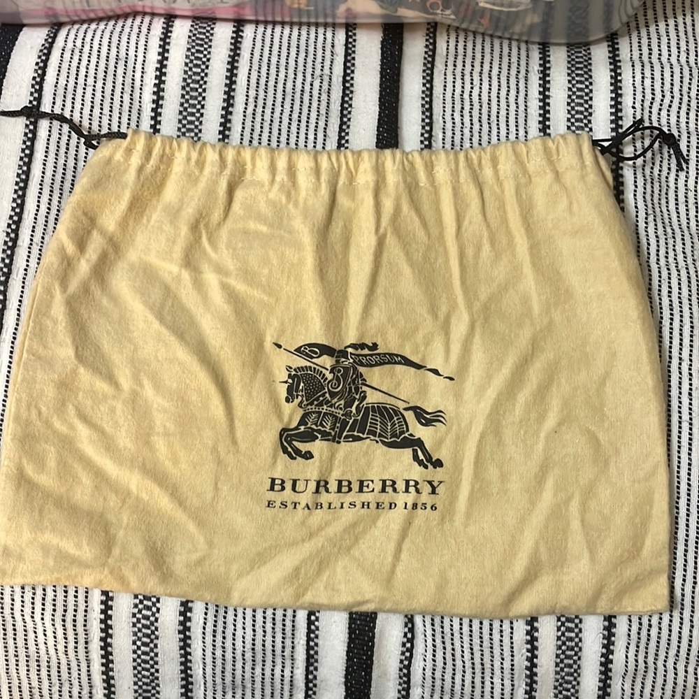 Burberry bag case 💚